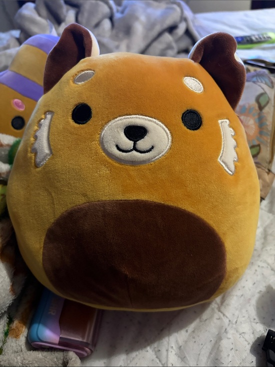 Squishmallows Other - Squishmallows Orange and Brown Plush Small Pet Toy